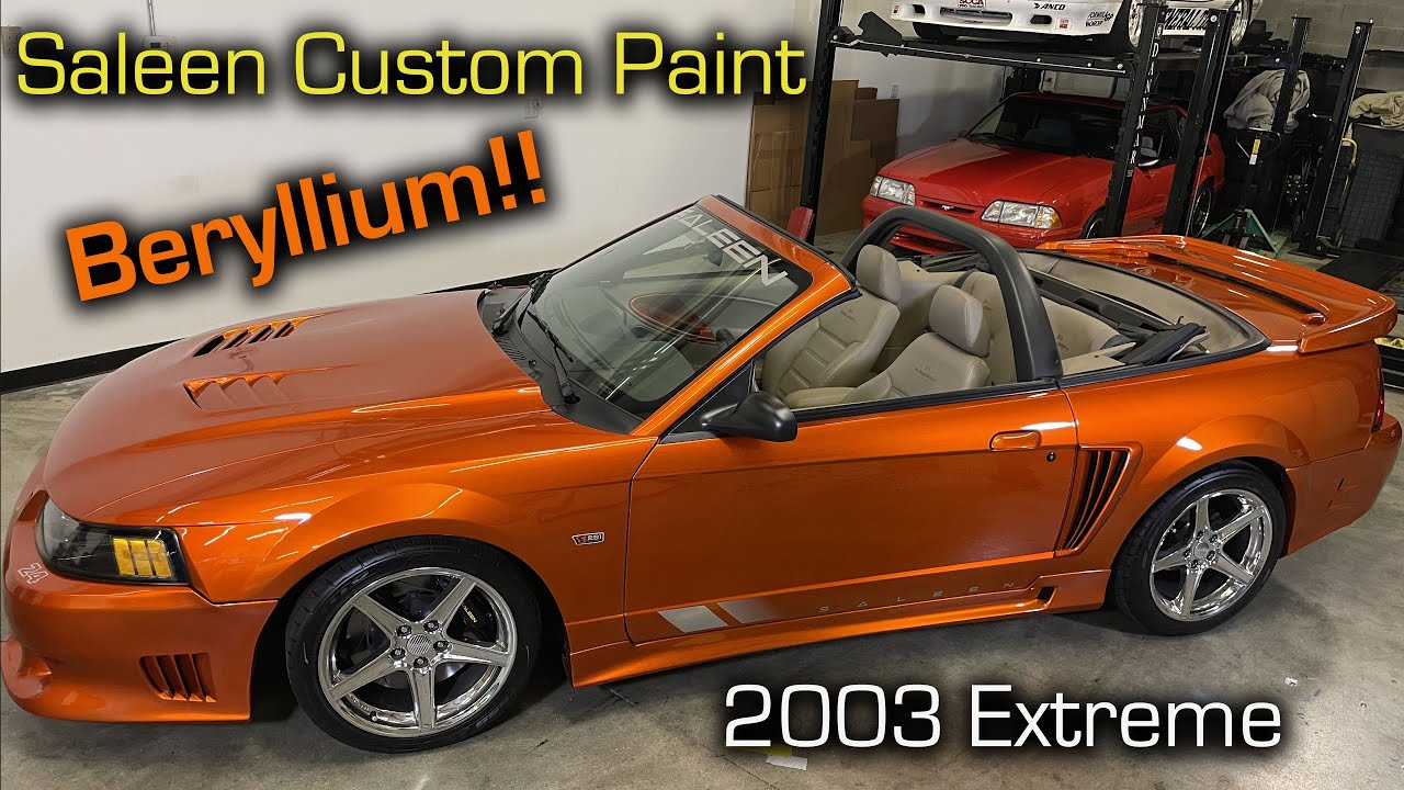 Saleen Custom Colors Rise Above The Fray