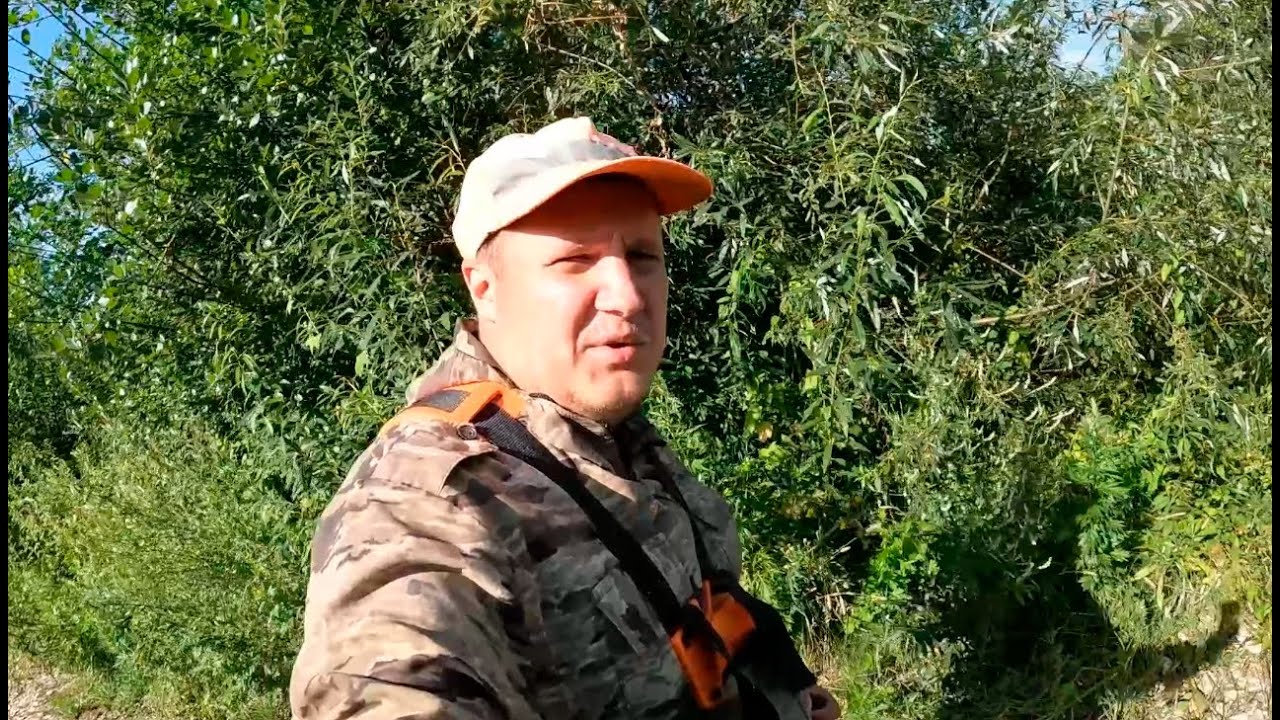 Дорогу к нашему участку забросили, но новую мебель успели привести