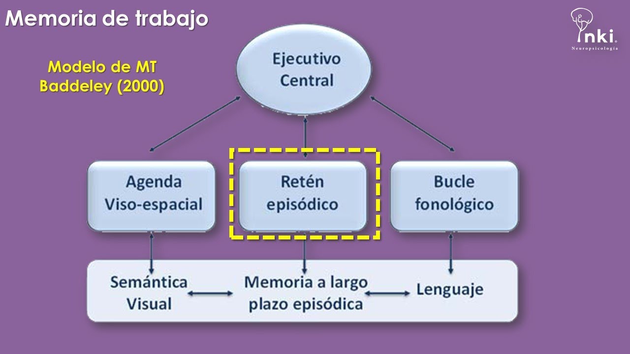 Neuropsicolog&iacute;a: Memoria de Trabajo- Funciones Ejecutivas