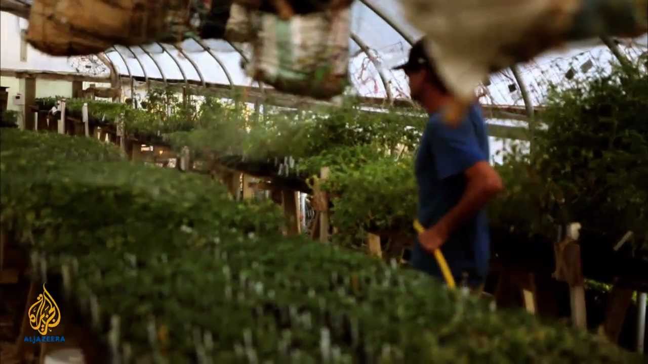 earthrise - Aquaponics & Safeguarding Haiti's Marine Life