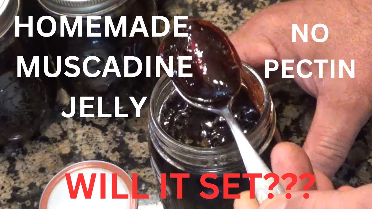 HOMEMADE MUSCADINE JELLY