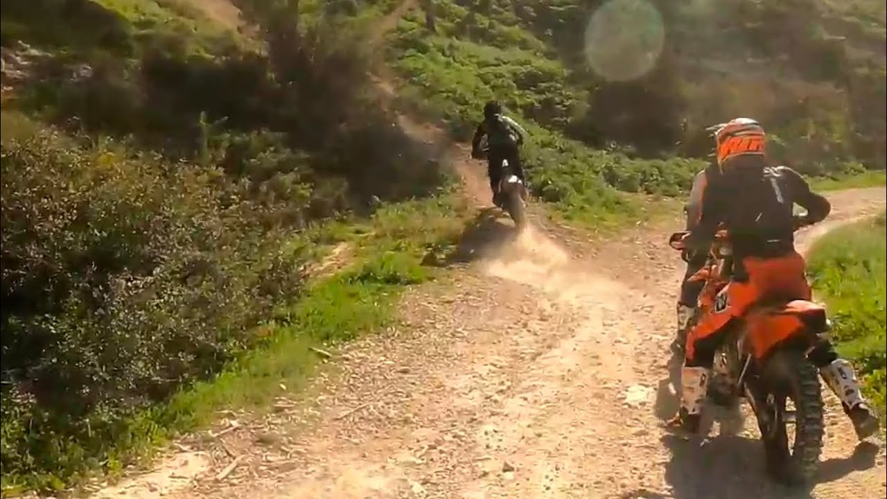 לטרון 21/2/2026