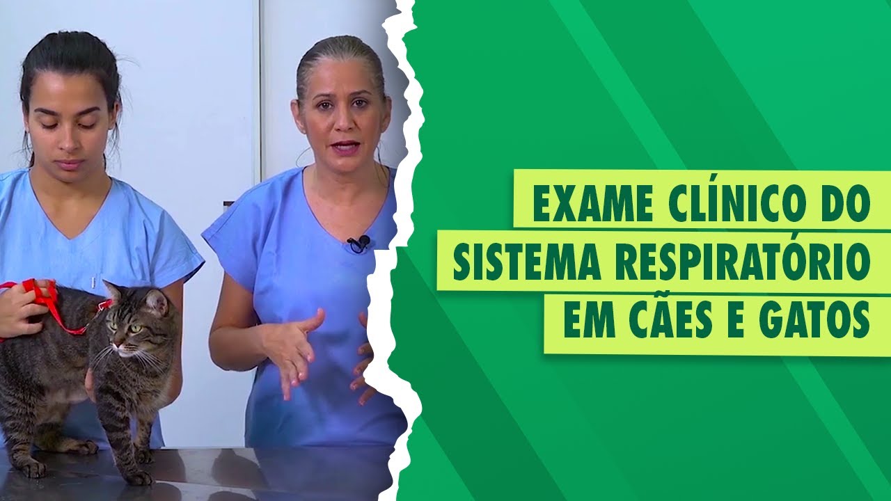 Semiologia do Sistema Respiratório em Cães e Gatos