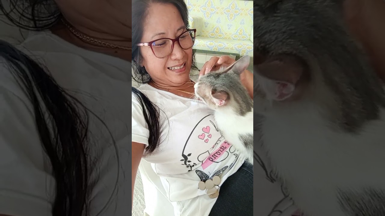 Lambing ni Sissy