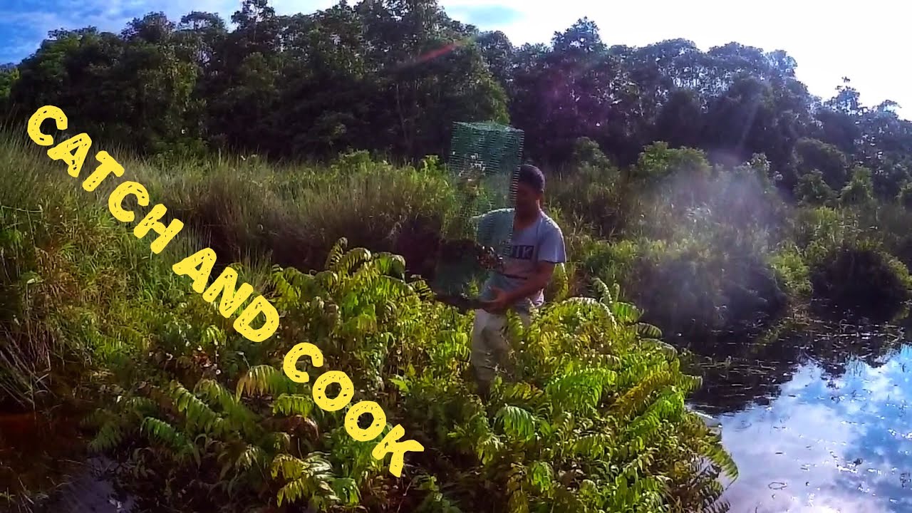 Pasang Bubu Disini Dapat Ikan Lembat Dan Kepar Besar-Besar - Catch And Cook