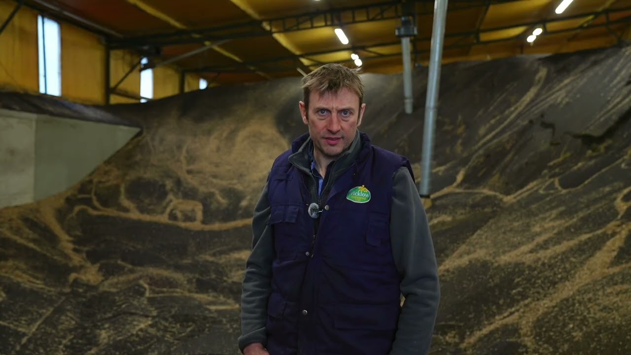 How Wicklow Rapeseed Oil Is Made | Grown, Pressed & Bottled on Our Farm