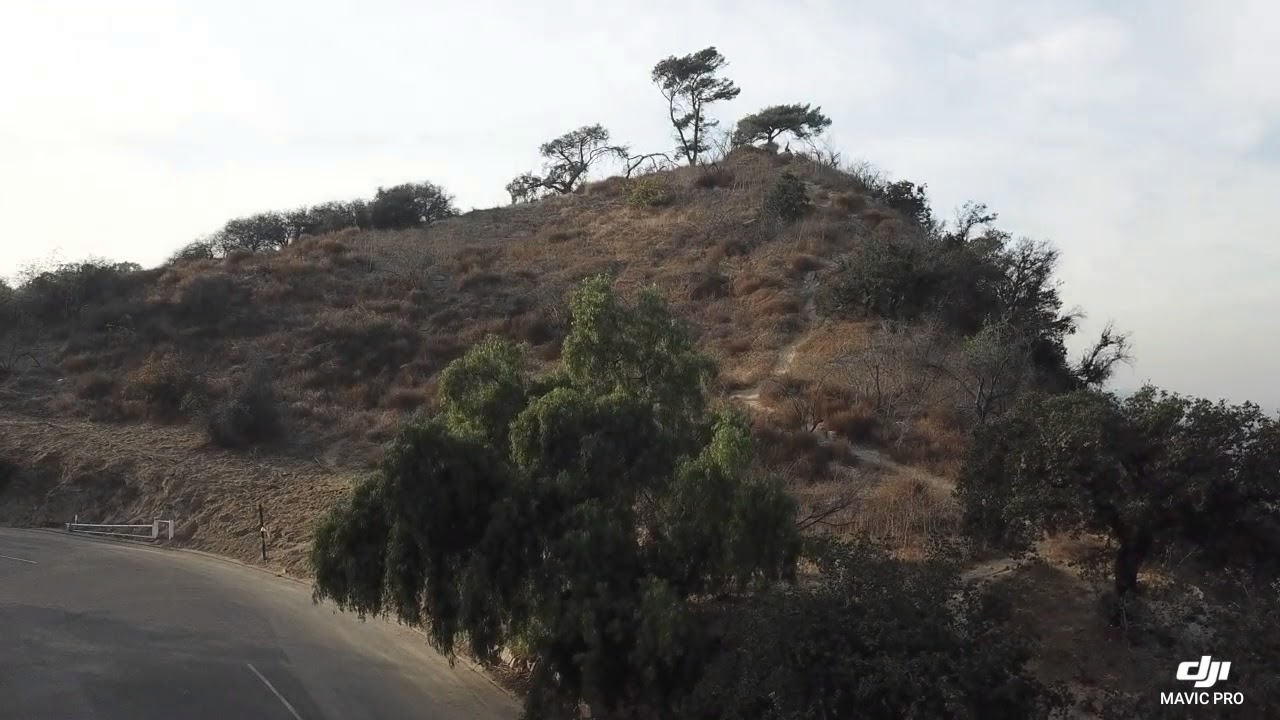 Secret swing Elysian park