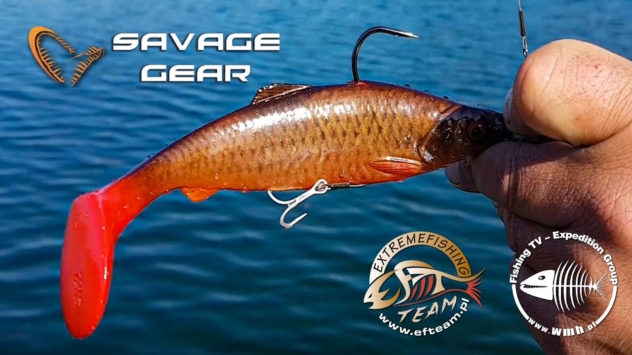 Wędka szczupakowa – Savage Gear MPP2 i Okuma Comodo
