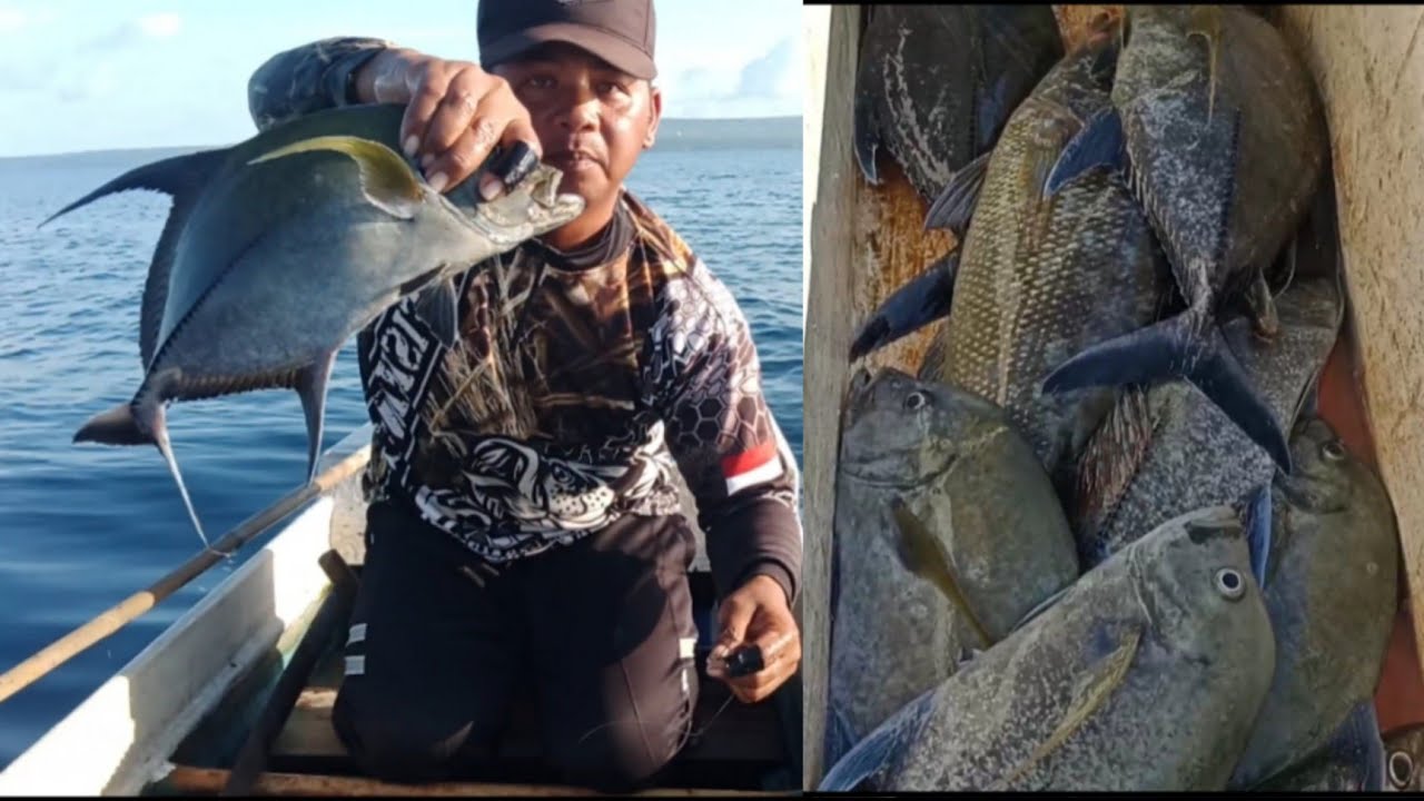 Panen Bubara dispot Baru || Umpan turun langsung disambar#mancingmania #mancingdasaran #umpanhidup