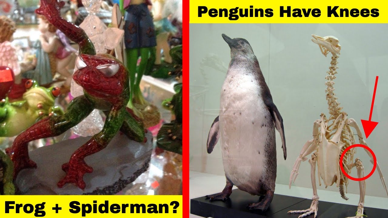 People Sharing Their Unexpected Finds That Raise A Million Questions