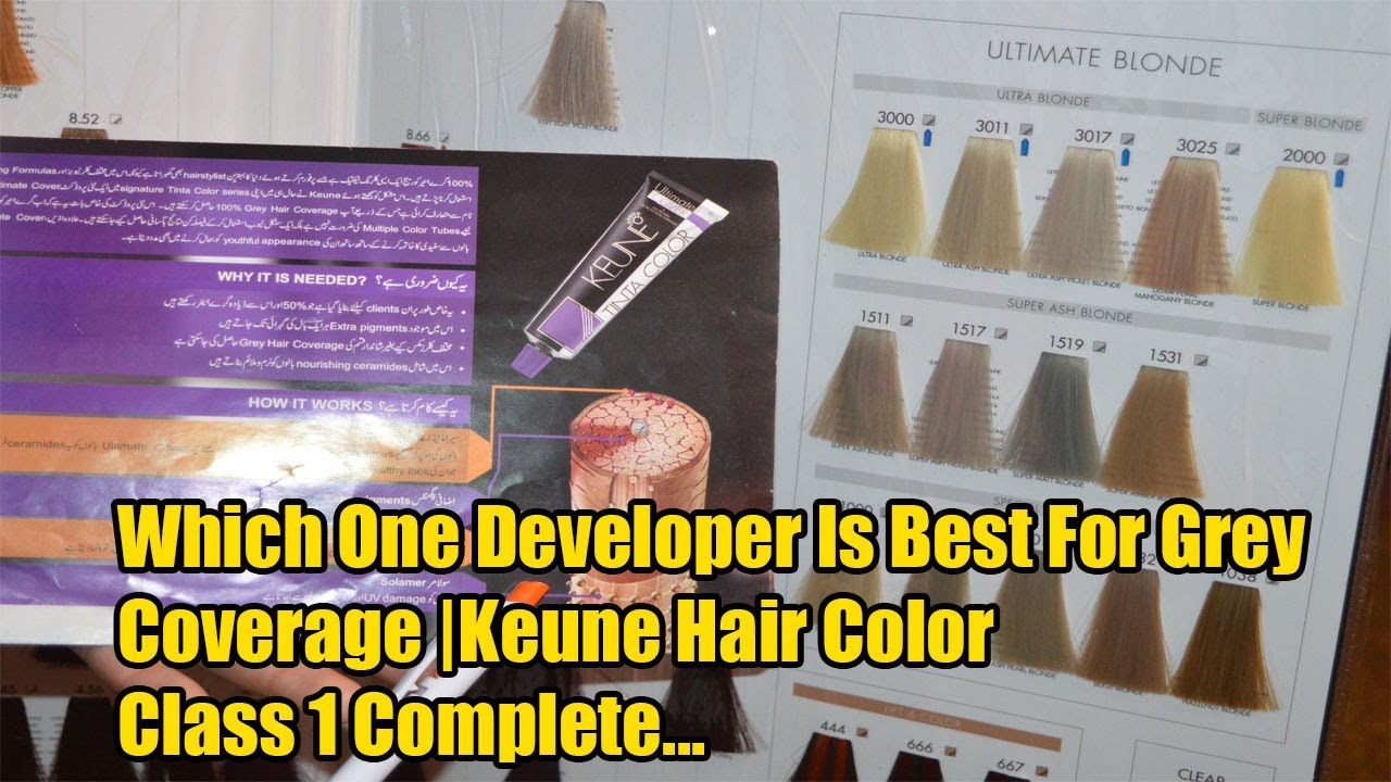 Keune Which One Developer You Can Use For Grey Coverage |Keune Hair Color Class 1 Complete