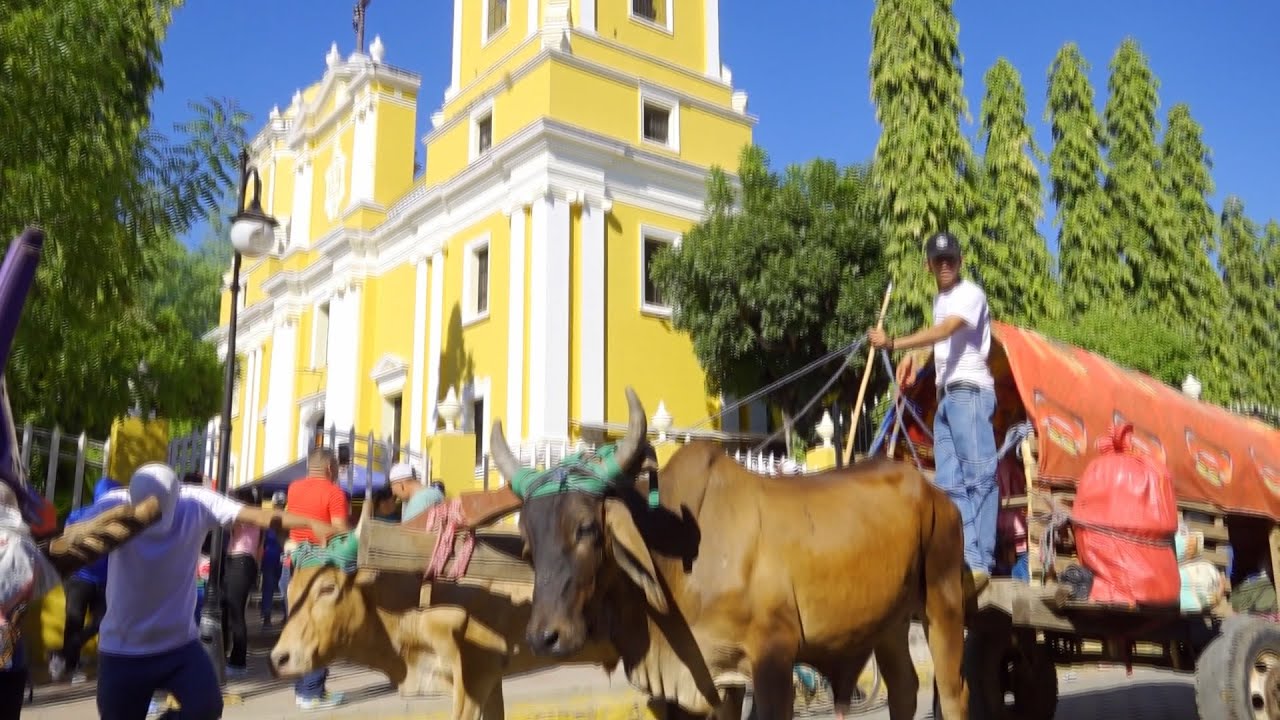 Fiestas del Señor de los Milagros en El Sauce reciben más de 100 carretas peregrinas de Somotillo