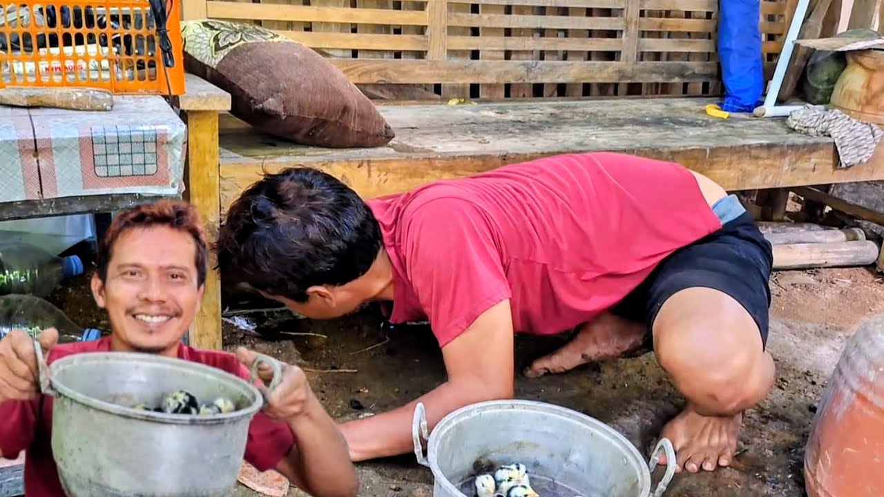ALHAMDULILLAH REJEKI HARI INI KENA GO TUKU WEDUS