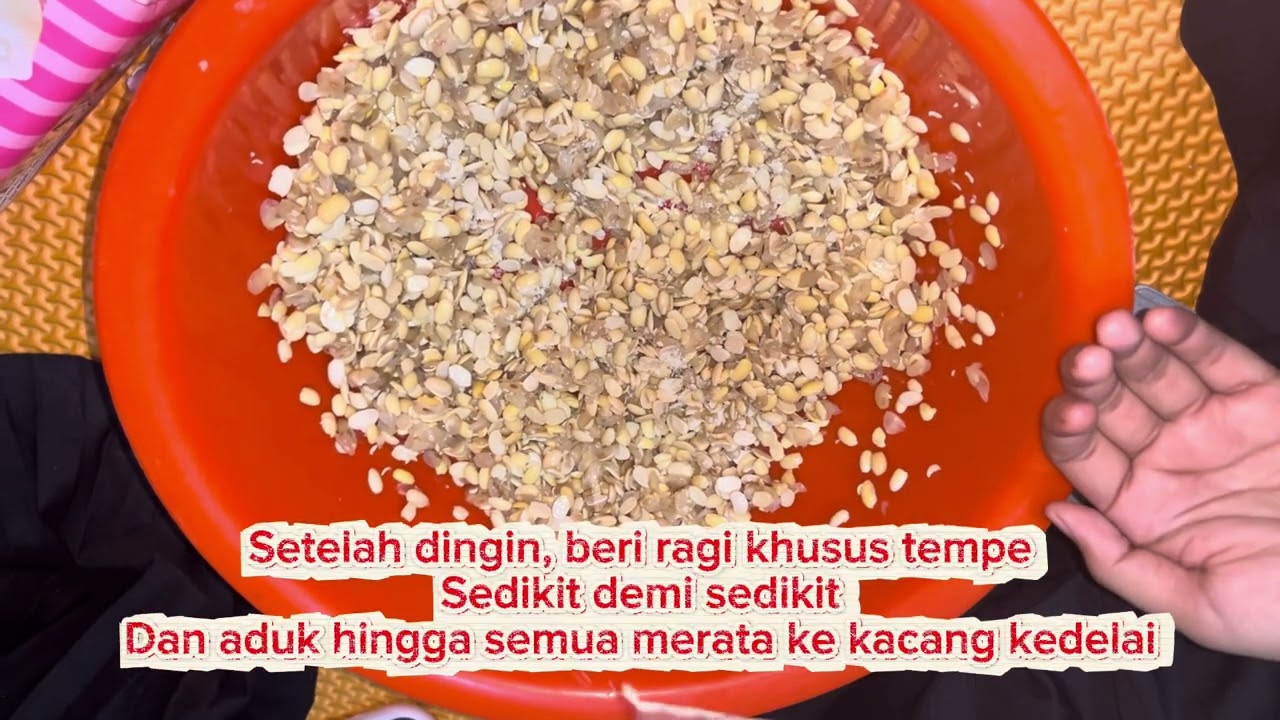 Praktikum Bioteknologi Pembuatan Tempe Kelompok 3 Kelas TBIO 2 Stambuk 2022