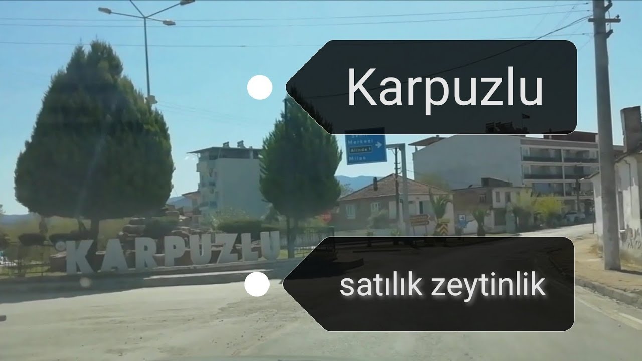 satılık zeytinlik/Karpuzlu/aydın🥰
