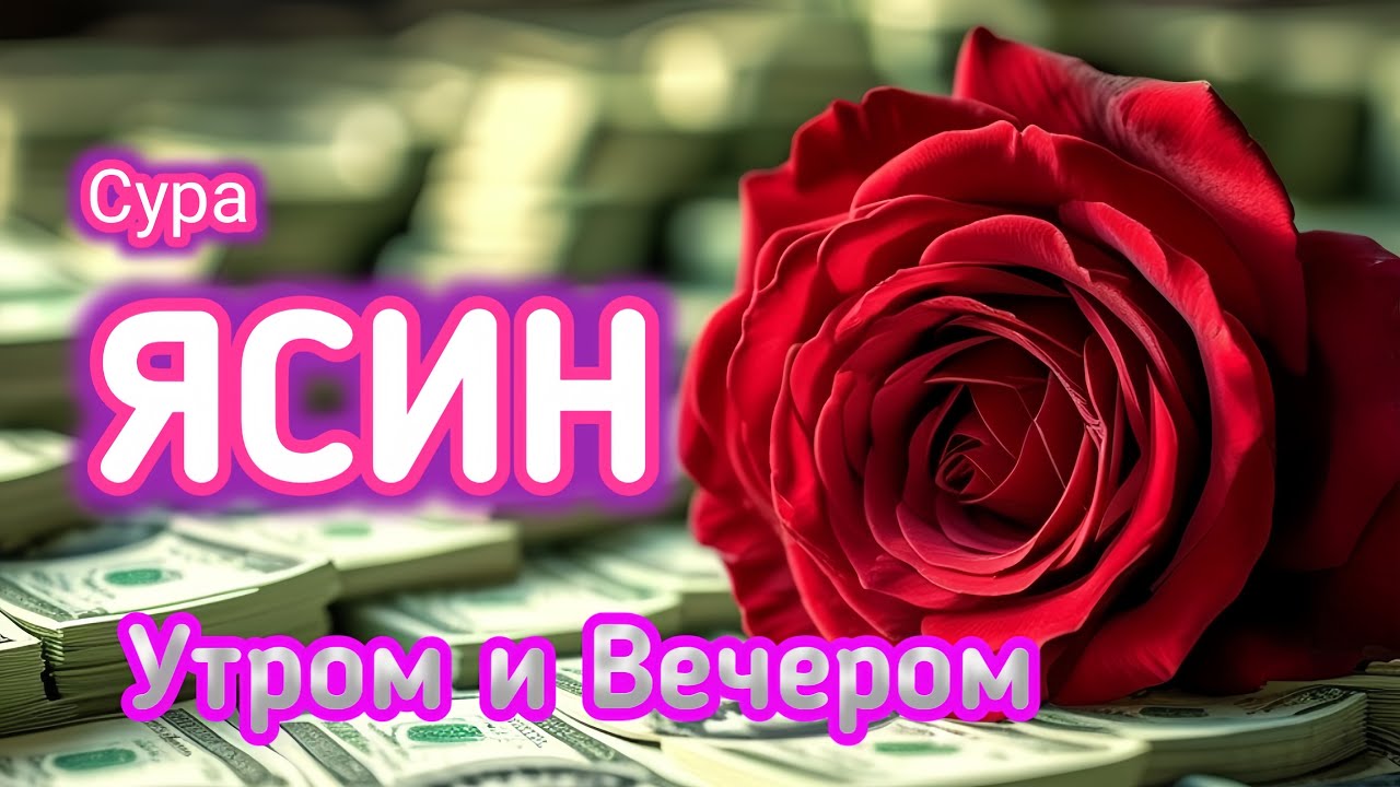 Ясин (СЕРДЦЕ КОРАНА) СЛУШАЙТЕ КАЖДЫЙ ДЕНЬ || сураясин , Yasin surasi