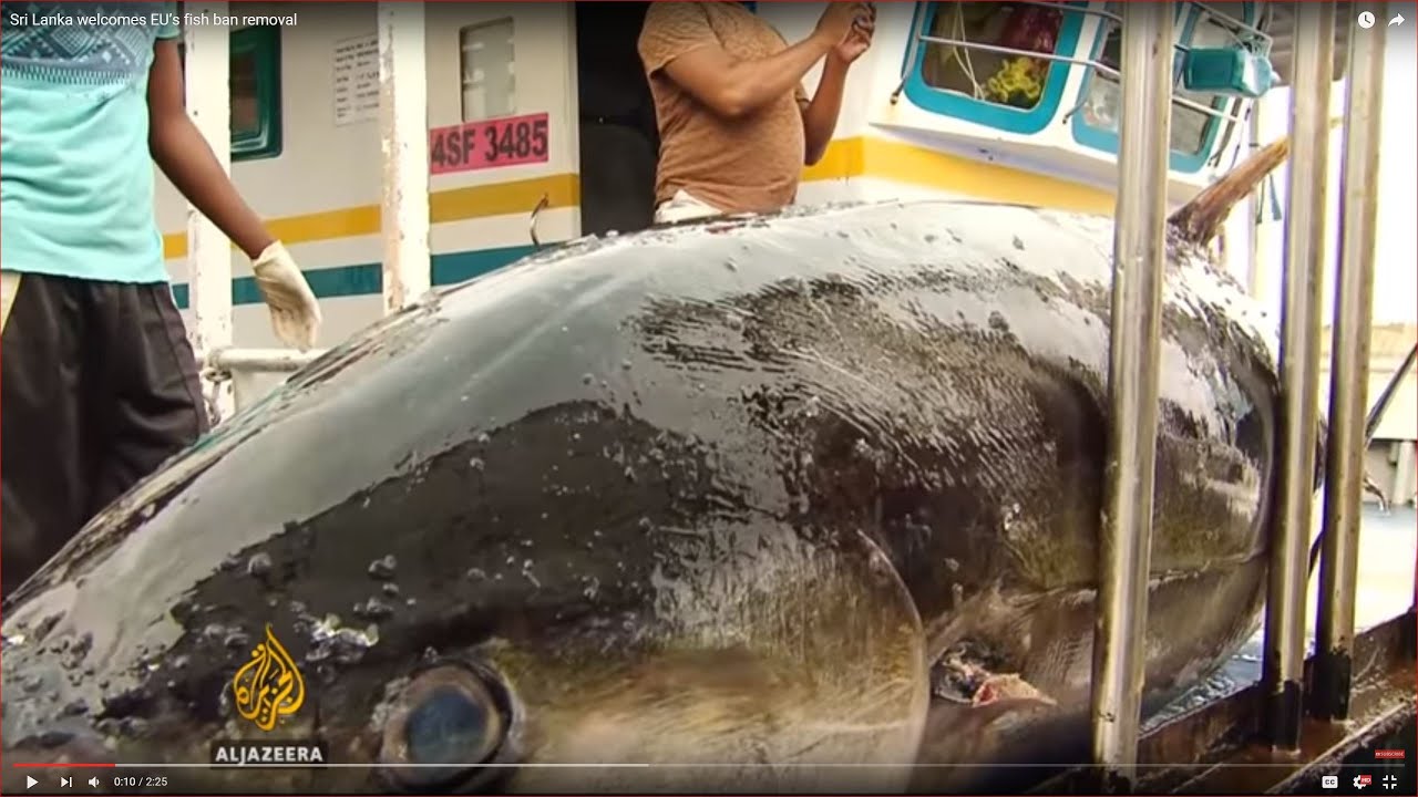 Sri Lanka welcomes EU’s fish ban removal