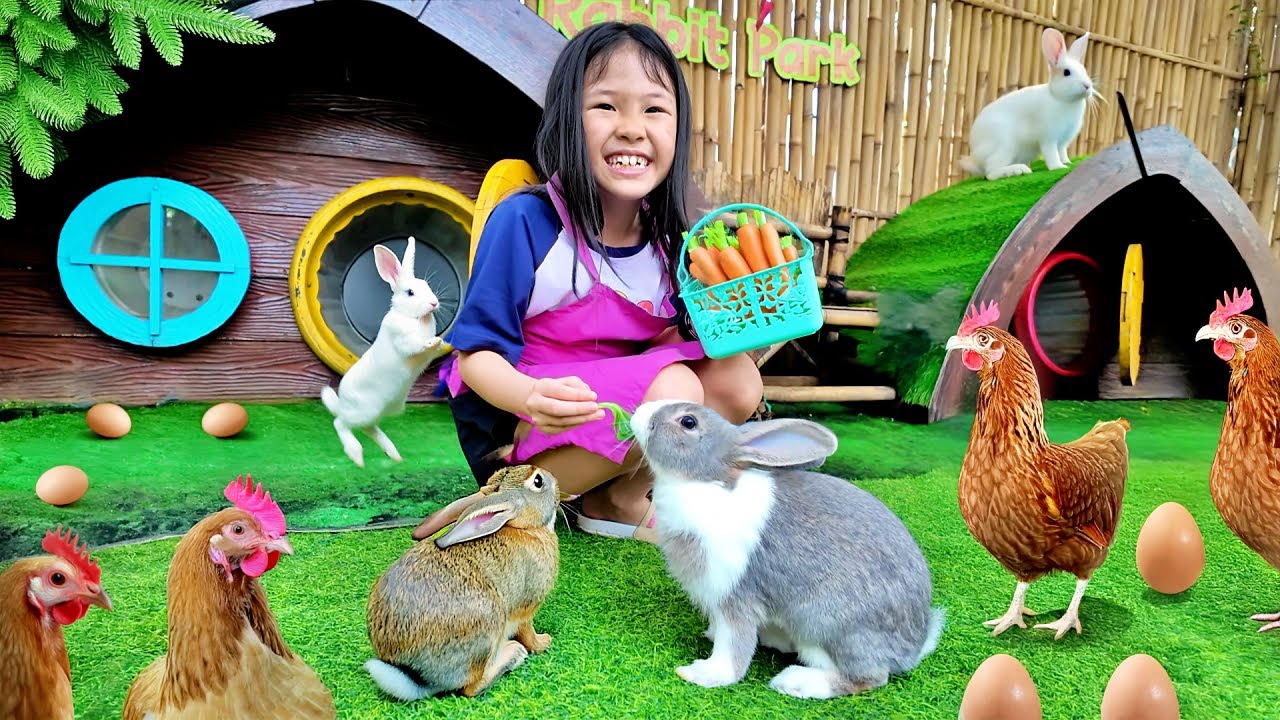 Kasih Makan Kelinci Lucu dan Panen Telur Ayam - Mengenal Binatang
