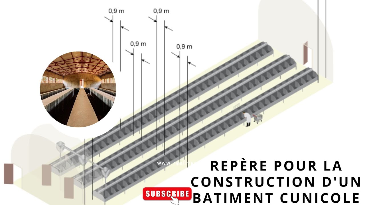 REPÈRE POUR LA CONSTRUCTION D'UN BÂTIMENT CUNICOLE #cuniculture #rabbit