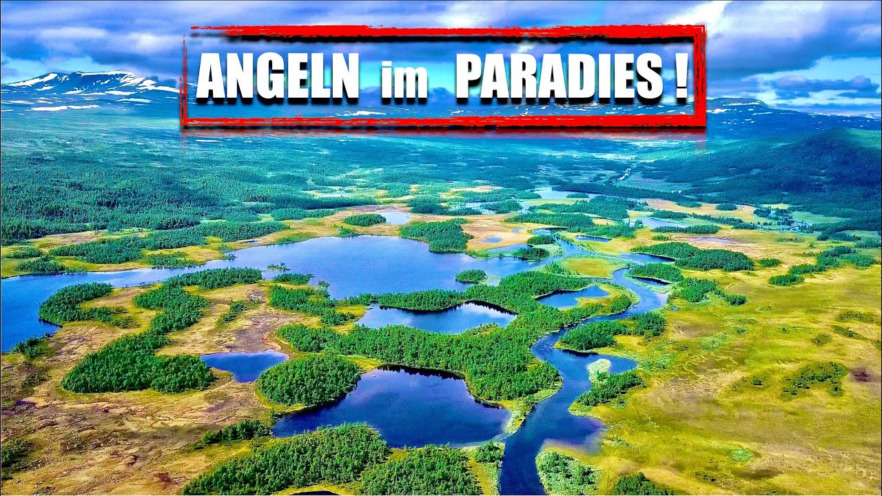 Fliegenfischen in Schweden