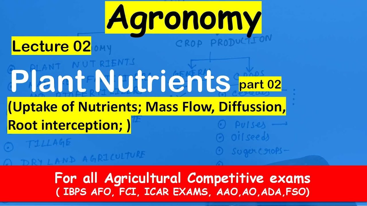Nutrients uptake process (mass flow, Diffusion, root interception) lec 3: chapter : plant nutrients