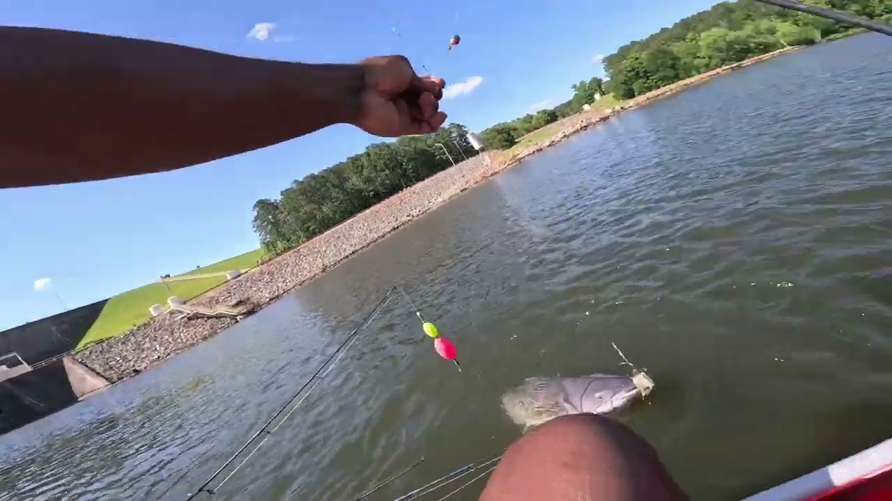 CAT FISHING Under a DAM With CRAZY BAITS (INTENSE)