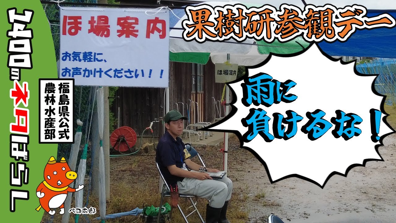 果樹研究所参観デー2025　～雨の中の挑戦～