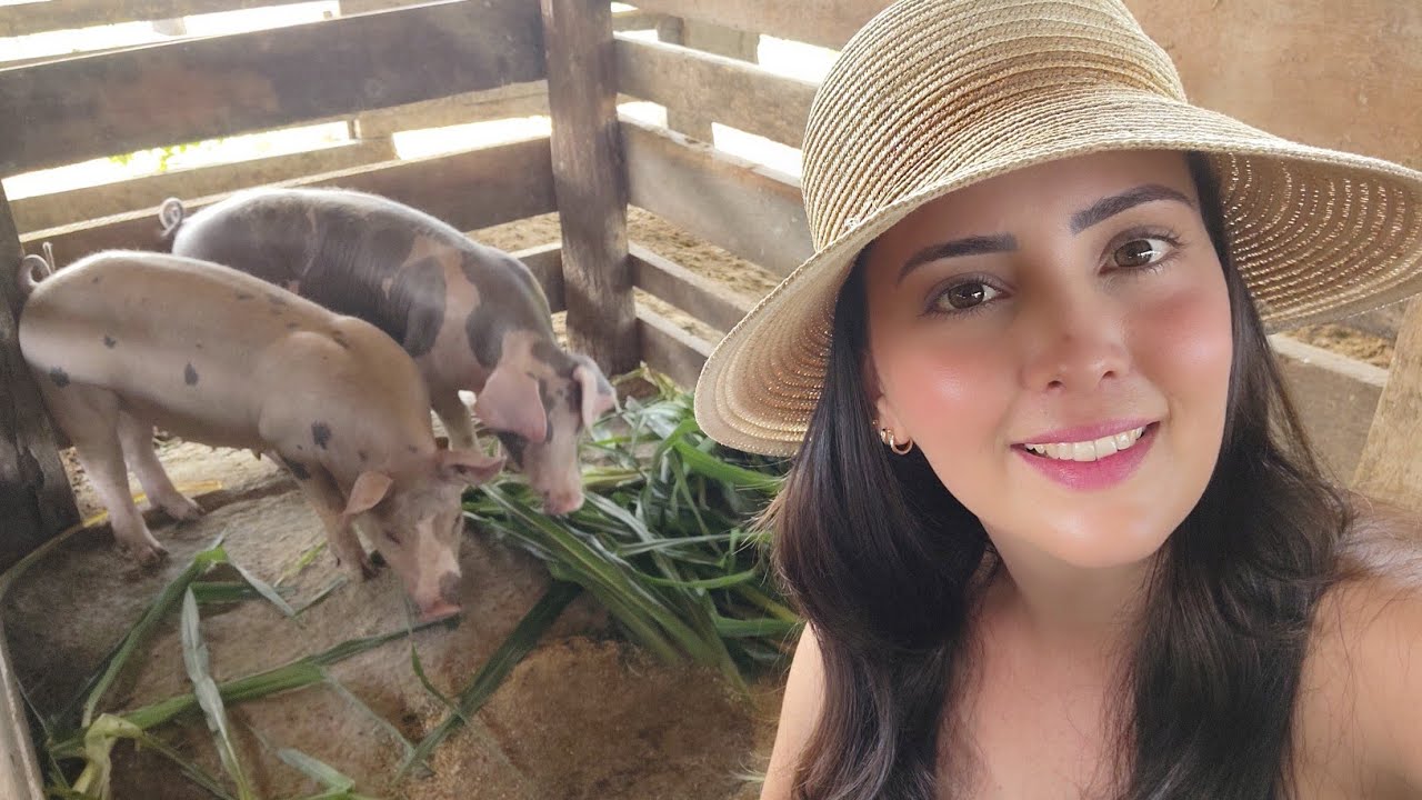 Como TRATAR de PORCOS com BAIXO CUSTO! Lucre muito mais!