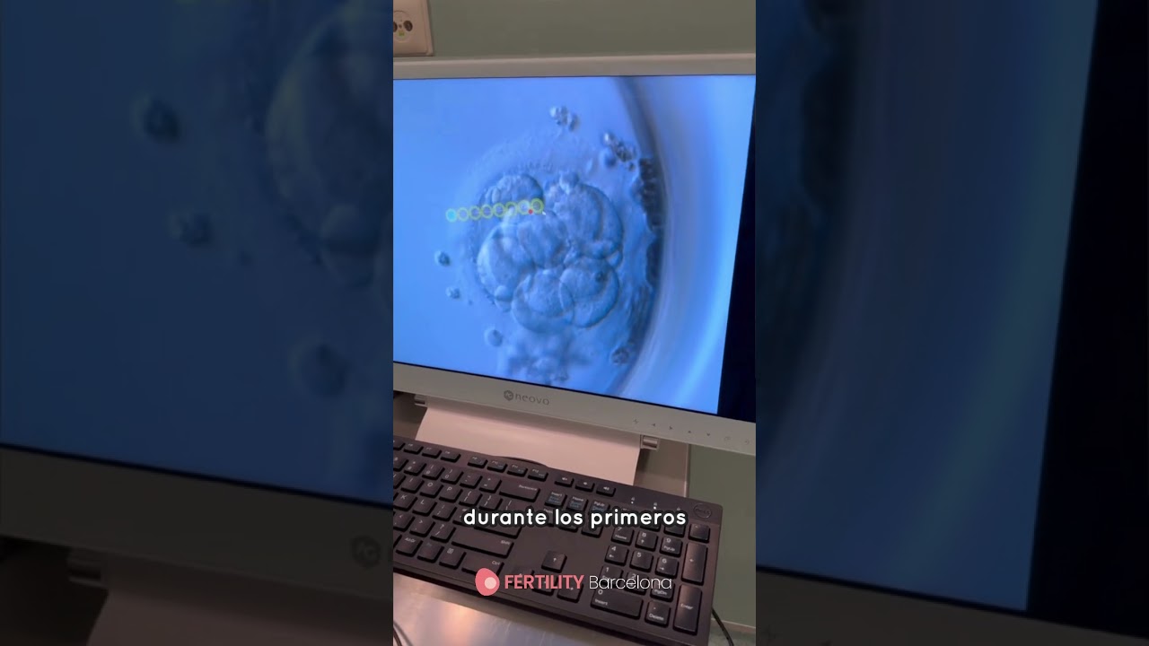 &iquest;Sabes que la Eclosi&oacute;n Asistida (Assisted Hatching) puede aumentar la posibilidad de implantaci&oacute;n?