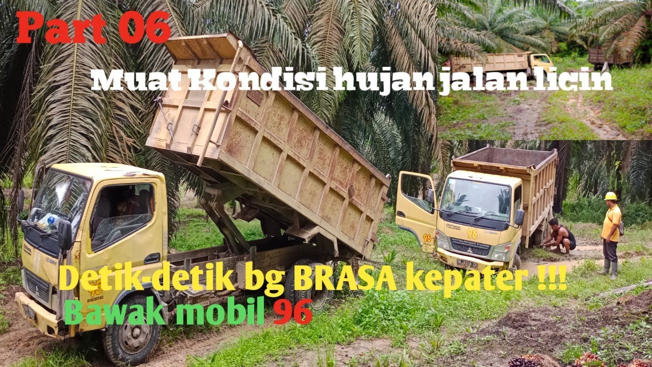 MUAT SAWIT!!!kondisi hujan jalan licin