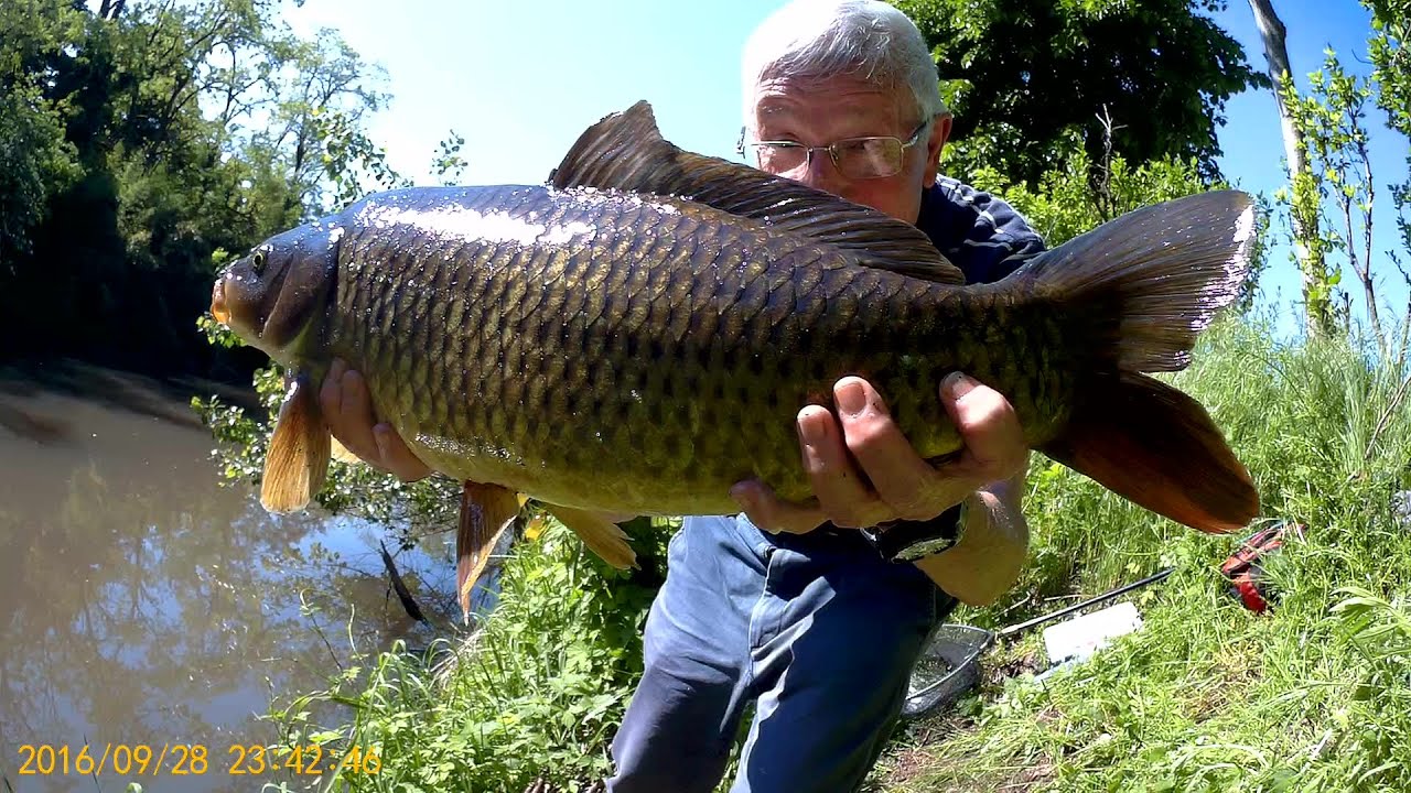 - PESCA A PASSATA CON BIGATTINI E VERMI