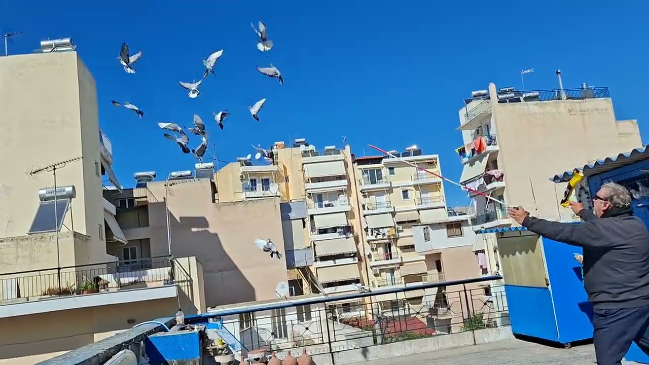 24 Φεβρουαρίου 2026 ΠΡΟΠΟΝΙΤΗΚΕΣ ΠΕΤΑΞΙΕΣ !! Ν ΦΟΥΡΝΑΡΗΣ * Η ΓΚΑΓΚΑ **