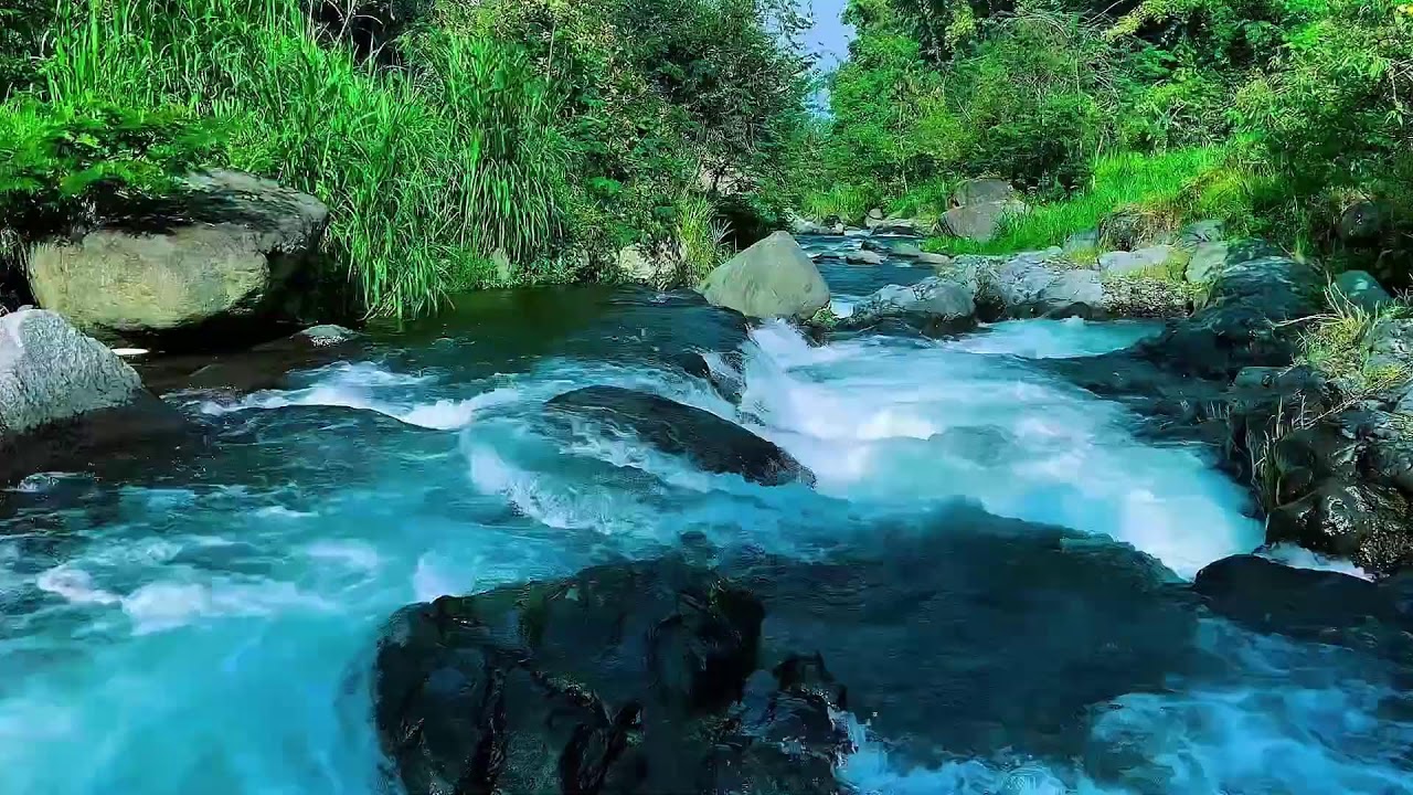 Mountain Stream Water Flow Audio, Forest River, Sleep