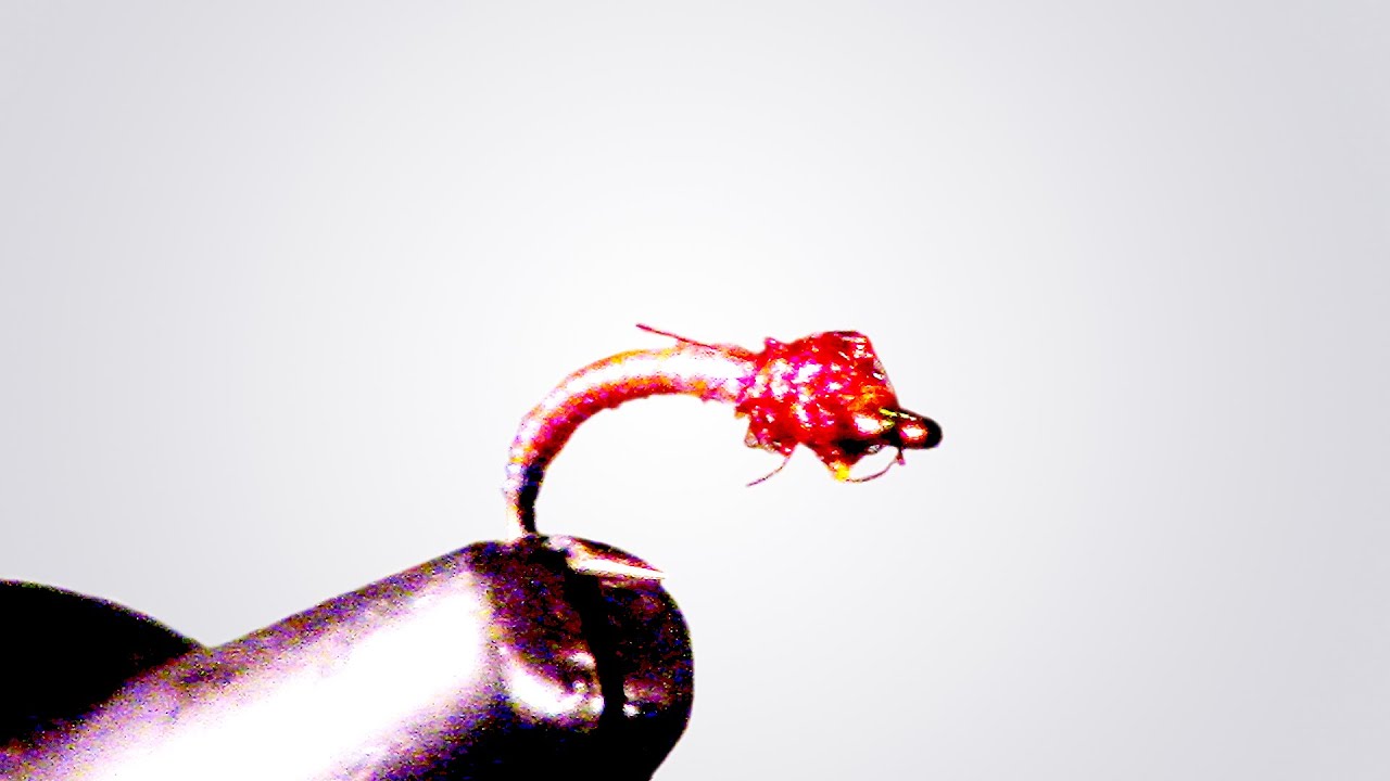 Princess larvae - A fairly easy and very flashy effective midge larvae pattern