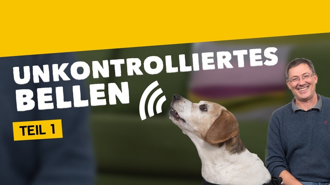 Unkontrolliertes Bellen Teil 1: So lenkst du deinen Hund vom Bellen ab [Training #20] (2020)