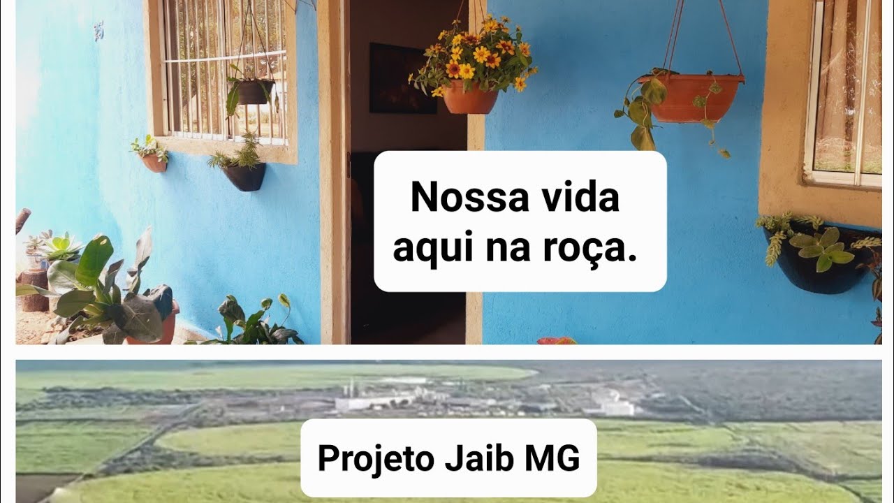 Minha vida feliz em meio a natureza aqui no sitio.