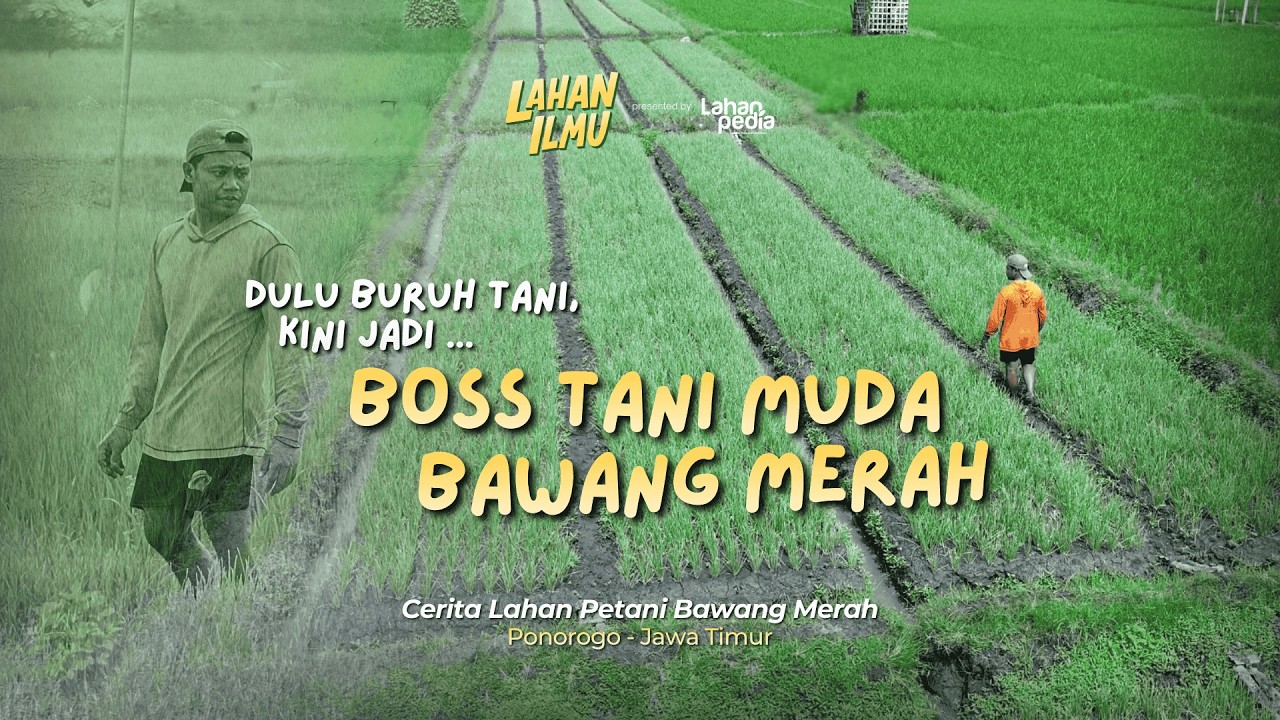 BELAJAR DARI KEGAGALAN‼️PETANI MUDA PONOROGO INI BANGKIT DAN COBA TANAM BAWANG LAGI #bawangmerah