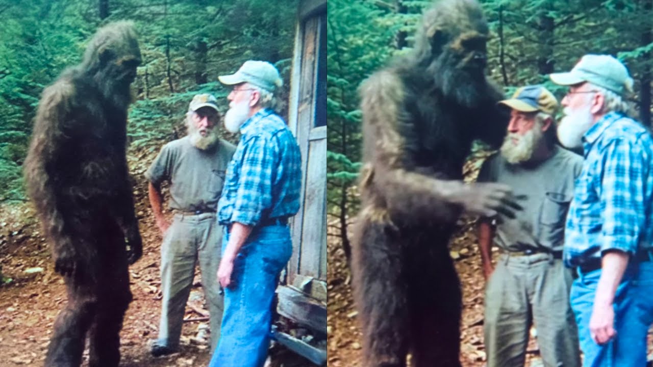 The Secret Two Brothers Found After 20 Years Sheltering Bigfoot Will Terrify You &ndash; Sasquatch Story