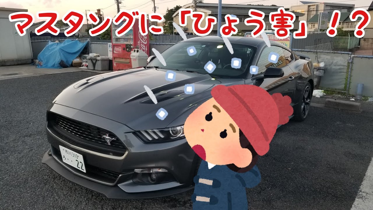 [雹被害]マスタングを停めてる駐車場にピンポイントで雹が降りました、、、