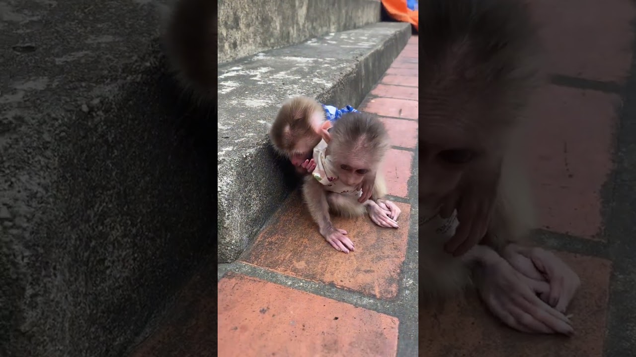 Bon had to cling to him.