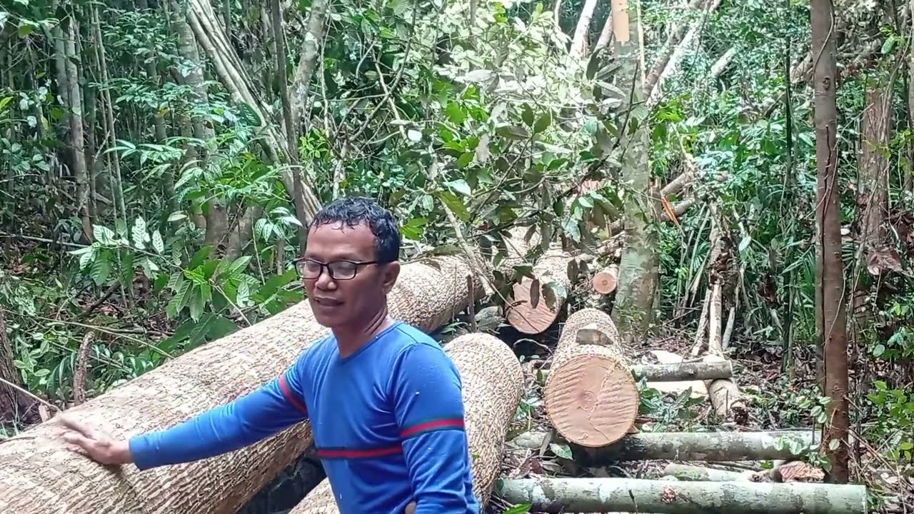 MERANTI SUPER KALIMANTAN