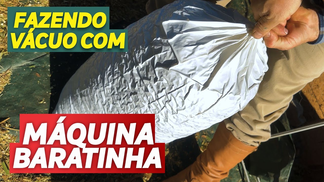 A VERDADE SOBRE VÁCUO NA SILAGEM ENSACADA