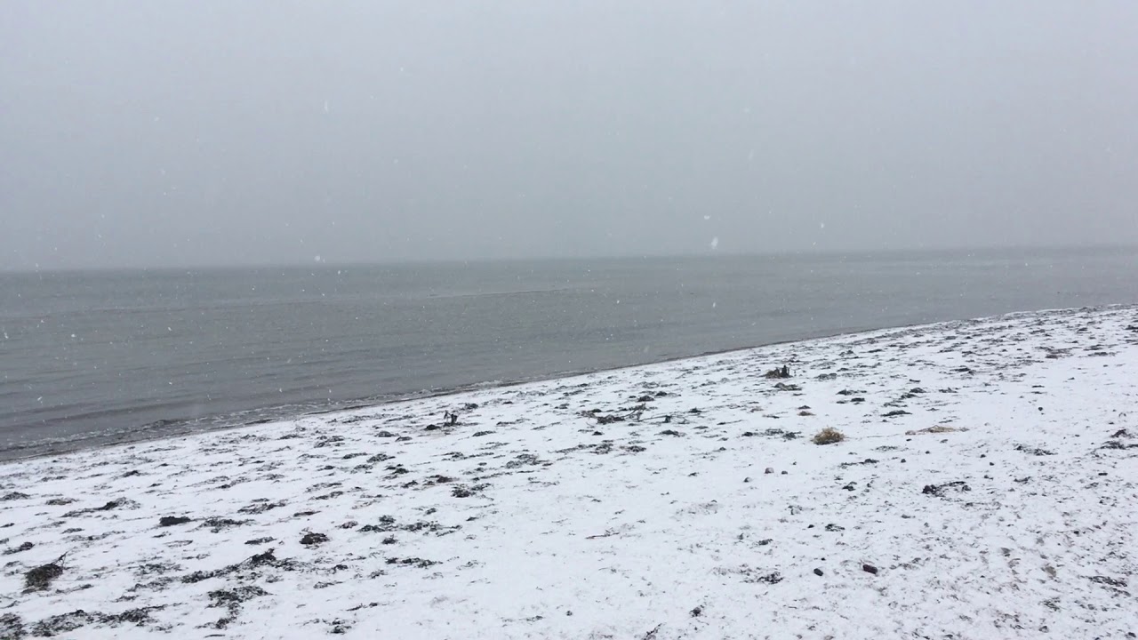 Strandzugang Schlossgut Gro&szlig; Schwansee