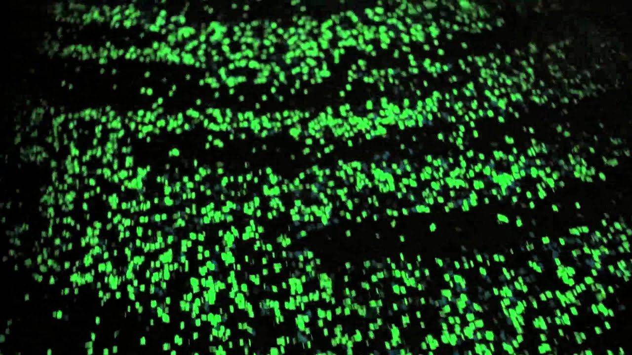 Starry Bicycle Path, Studio Roosegaarde, Eindhoven, the Netherlands.