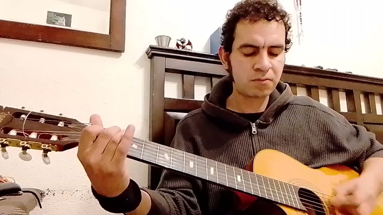 El hijo del palenque - Miguel y Miguel - guitar cover