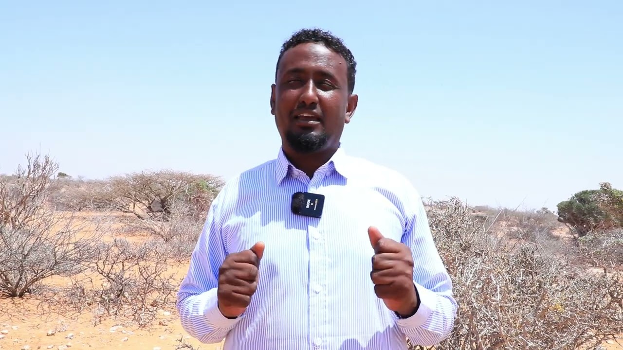 Mudug dadka deegaanka ayaa walaac ka muujiyay xaaladda abaaraha oo samayn ku yeelatay dadka iyo..