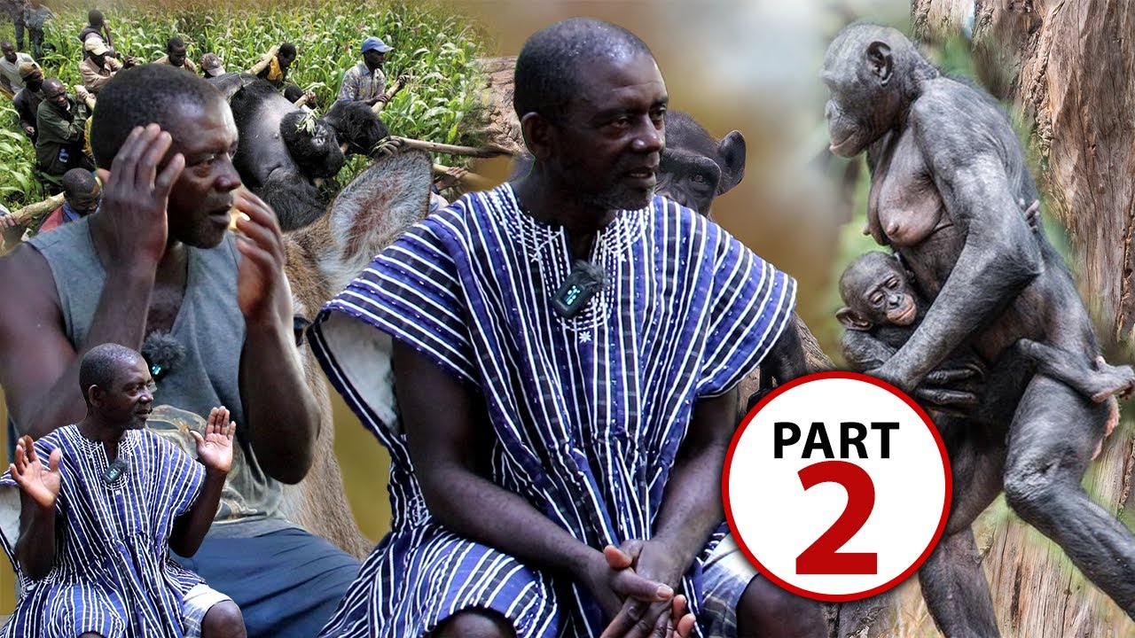 PART (2)...THE UNXPLAINED MYSTERIES IN HUNTING:- I ONCE F!RED AT A CHIMPANZEE IN THE DEEP FOREST...
