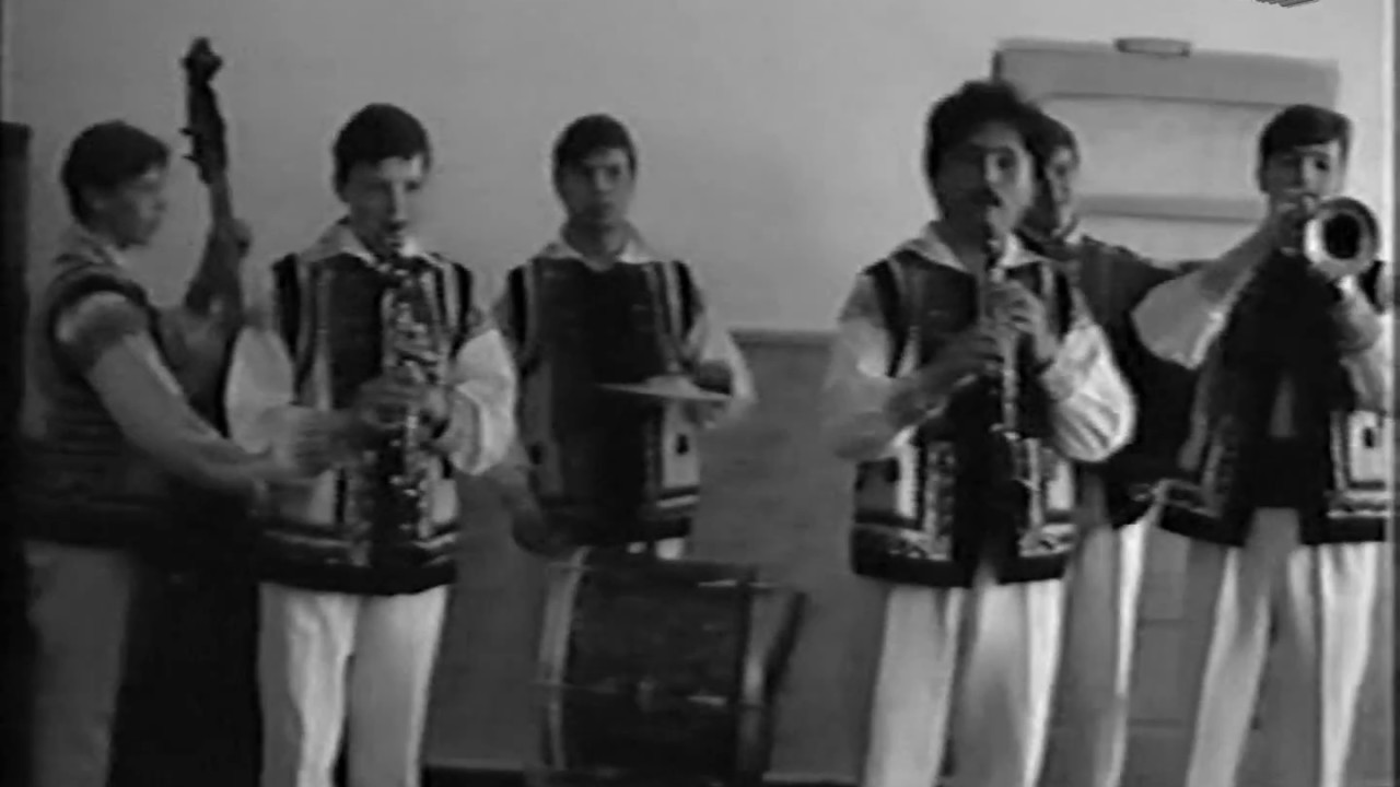 Vizita delegaţiei din oraşul francez Cholet la Dorohoi -anul 1993.