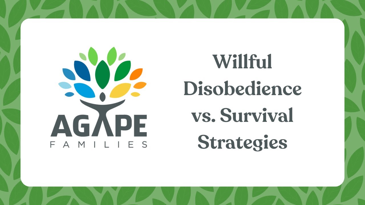 Willful Disobedience vs. Survival Strategies
