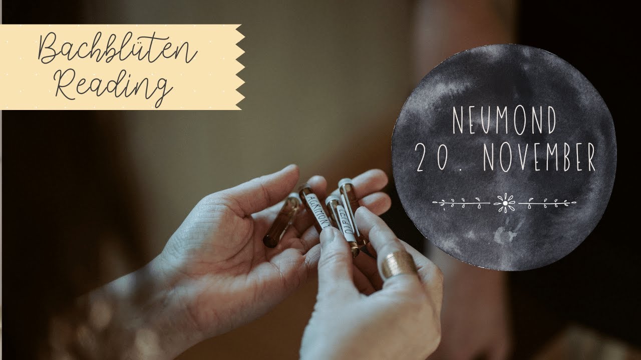 Bachblüten zum Neumond, 20. November: Innere Balance & Kraft durch neu-definierte Grenzen und Pausen
